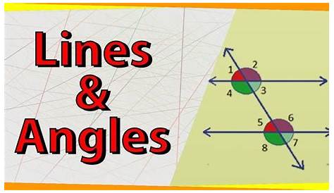 lines and angles class 9 worksheets