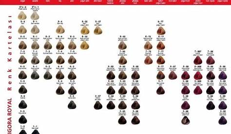 igora schwarzkopf color chart