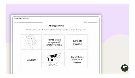 The Oxygen Cycle - Worksheet Teaching Resource | Teach Starter
