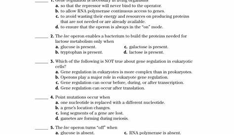 gene expression worksheet answers
