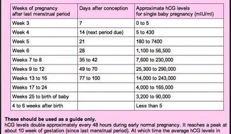 Hcg Levels In Twin Pregnancy Week By Week - PregnancyWalls