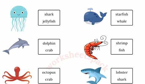sea animals worksheets