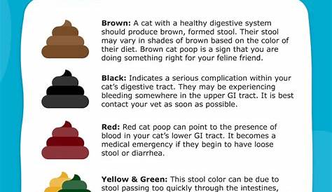 cat vomiting color chart