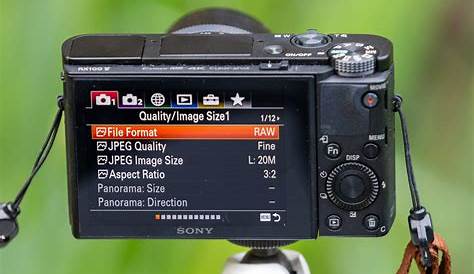How to Use a Point and Shoot Camera - A Detailed Guide to Compact Camera Photography