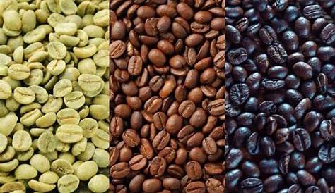 different coffee bean types