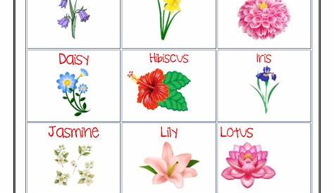 Flowers Name Chart in English - LearningProdigy - Charts