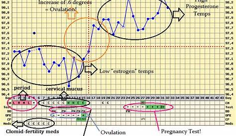 how to chart bbt for pregnancy