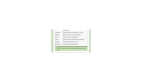 KS4 Plant and Animal Cells Structure and Differences Worksheet