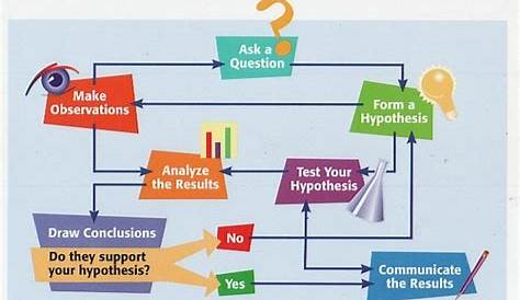 Scientific Method Flow Chart - GeneralChemistryFordson2013