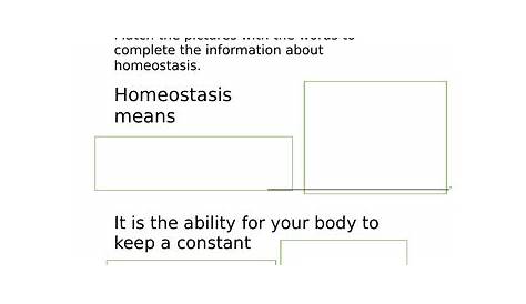 Homeostasis Video and Worksheet for Life Skills | Teaching Resources