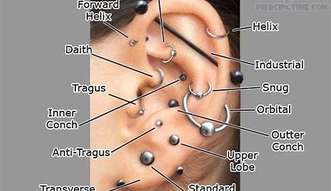 ear piercing chart for health