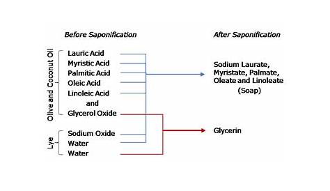 Guide To Saponification | The Soap Kitchen™