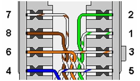 cat5 phone jack wiring diagram