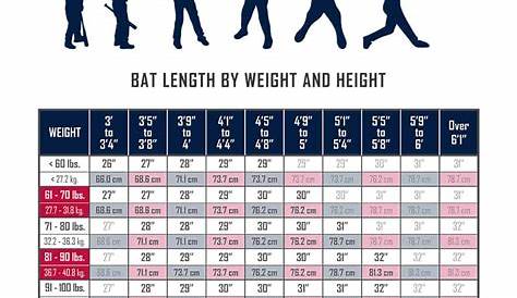 Kids Baseball Bat Sizes (Charts) - VerbNow