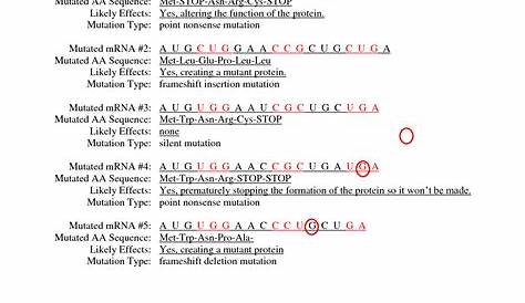 genetic mutations worksheet answers