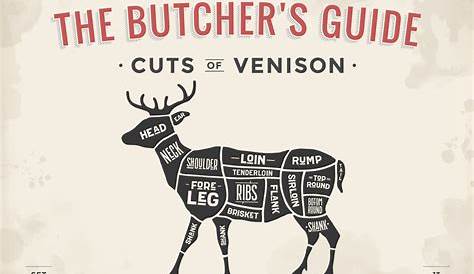 Cut of meat set. Poster Butcher diagram, scheme - Venison - Oak Creek