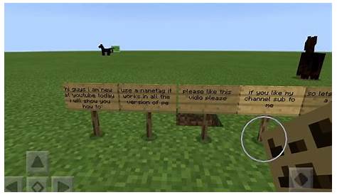 use name tag in minecraft