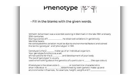 genotype and phenotype worksheets answer key
