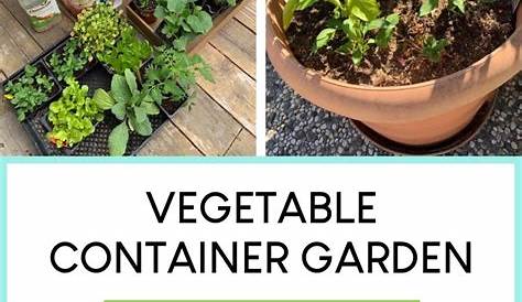 container gardening vegetables pot size