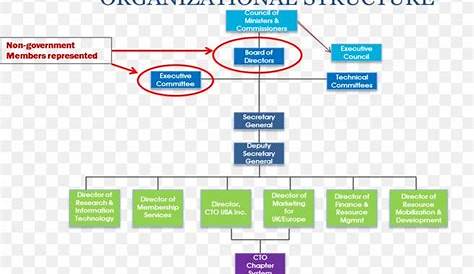 structure of the board of directors