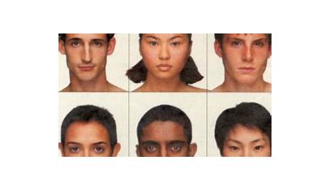Face Variations by Ethnic Group - Marquardt Beauty Analysis