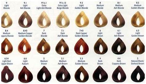 black hair dye color chart