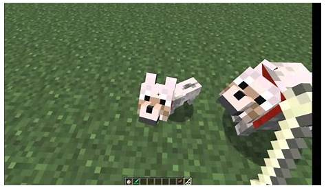 Minecraft - How to Breed Wolves in Pre-Release 12w03a (1.2+) - YouTube