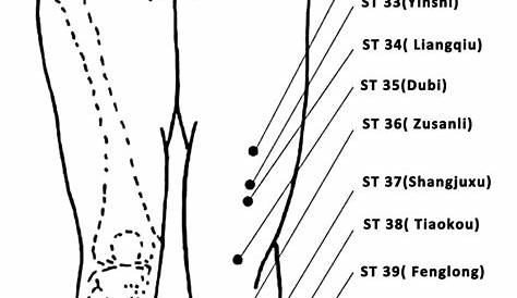 Leg AcuPressure Points: 50+ Pressure Points in Leg - PeakMassager