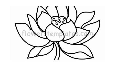 Beautiful lotus template | Flowers Templates