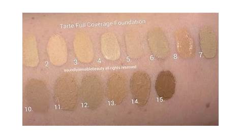 choosing color of foundation tarte amazonian clay - Google Search