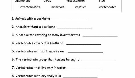 grade 3 1s invertebrates worksheet