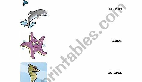 ocean animals matching worksheet