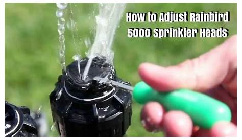 How to Adjust Rainbird 5000 Sprinkler Heads? - Useful Guide