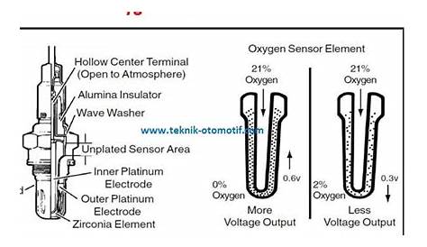oxygen sensor schematic
