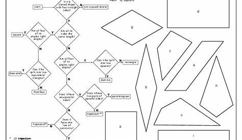 Quadrilaterals Worksheet for 5th - 6th Grade | Lesson Planet