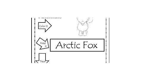 Arctic Animals Worksheets For Preschool Pdf | Lanunmuda