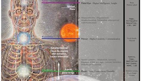 Alien Punk: Eight-circuit model of consciousness - Dedroidify + Wiki RT