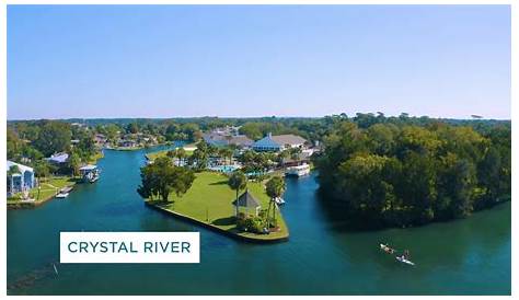 Discover Crystal River - YouTube