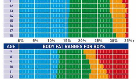 visceral fat level chart female