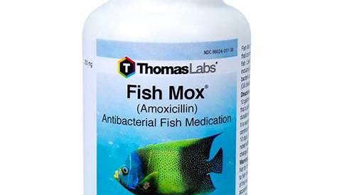 fish mox for dogs dosage chart