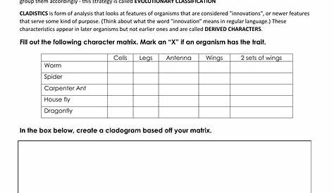 making cladograms worksheet answers