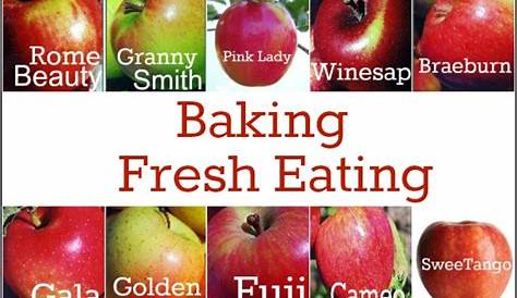 Most Popular 18 Types of Apples and Their Uses (with Pictures)