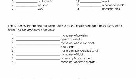 macromolecules chart worksheet answers