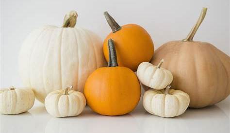 pumpkin size and weight chart