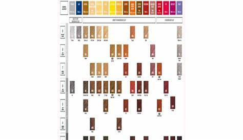 Hair Color Sample Chart - Edit, Fill, Sign Online | Handypdf