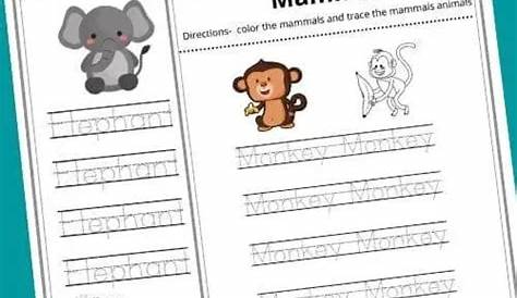 mammals habbitats worksheet for kindergarten