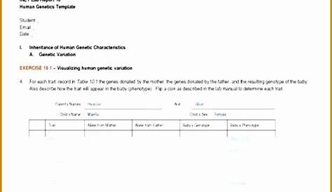 genotypes and phenotypes worksheet