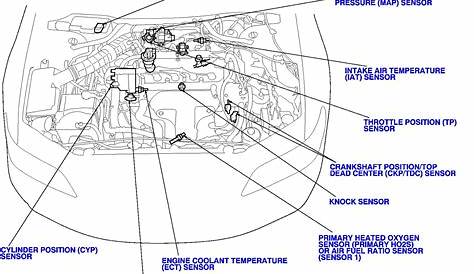 2009 Honda Accord Starter Location