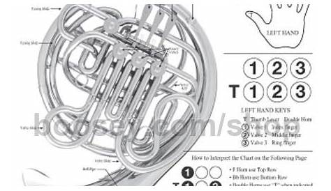 Basic Fingering Chart for French Horn