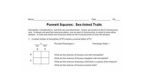 punnett squares x linked worksheet answer key